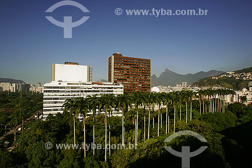  View of palmtrees at Laje park with buildings on the background at Jardim Botanico neighbourhood  - Rio de Janeiro city - Rio de Janeiro state (RJ) - Brazil