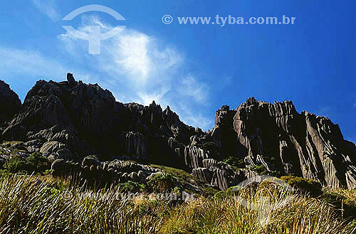  Agulhas Negras (Black Needles) massif - Itatiaia  city - Rio de Janeiro state inland - Brazil 