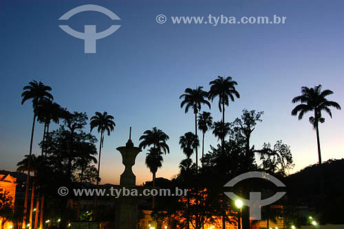  Palms - Vassouras city - Rio de Janeiro state - Brazil 