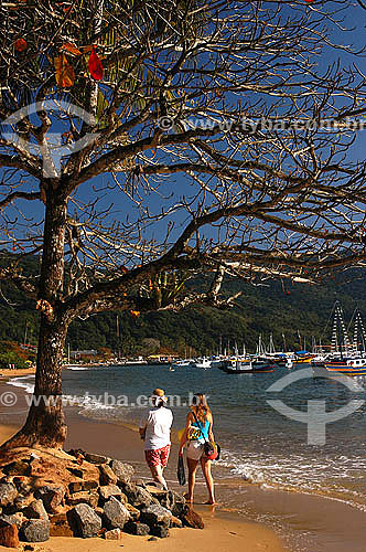  Tourists at Abraao Village beach with a tree in the foreground - 