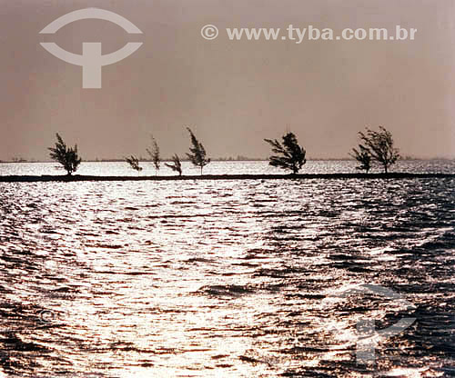  Sunset in the Araruama Lagoon - Arraial do Cabo city - Rio de Janeiro state - Brazil 