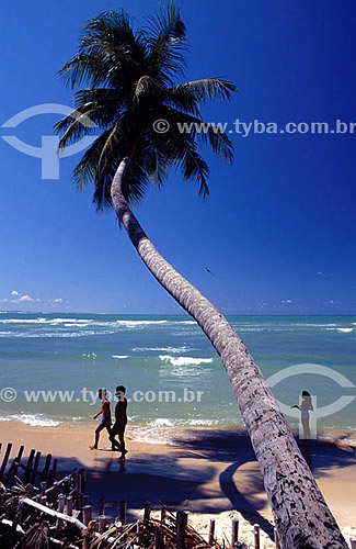  Beach - Rio Grande do Norte state - Brazil 