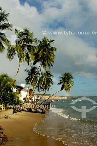  Pipa beach - Tibau do Sul region - Rio Grande do Norte state - Brazil - 05/2006 