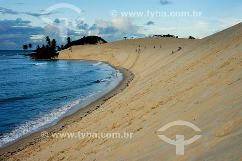  Genipabu beach - Extremoz region - Rio Grande do Norte state - Brazil 