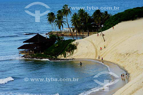  Genipabu beach - Extremoz region - Rio Grande do Norte state - Brazil 