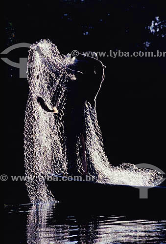  Silhouette of fluvial fisherman with fish in the net - Branco River (White River) - Roraima state - Brazil 
