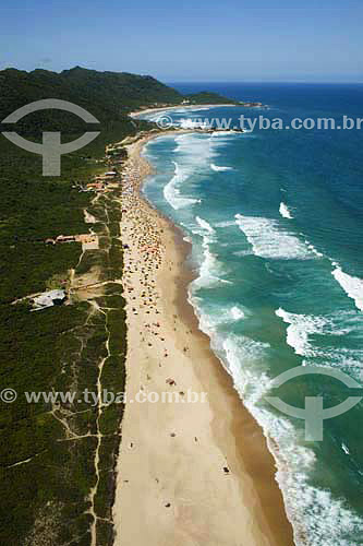  Aerial view of Praia Mole beach - Florianopolis - Santa Catarina state - Brazil 