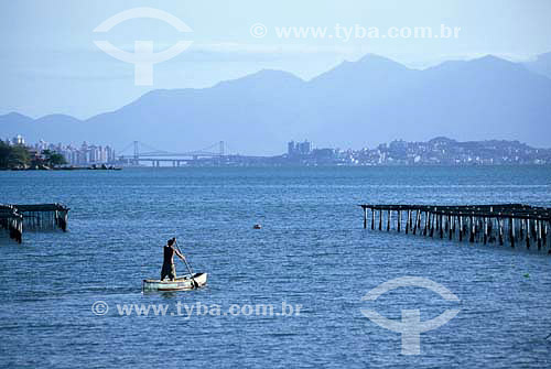  Man rowing small boat with the Florianopolis bridge in the backround - Florianopolis city - Santa Catarina state - Brazil 