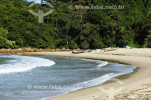  Cambury beach - Ubatuba region - Sao Paulo state - Brazil - april 2007 