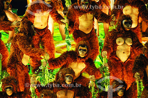  Rio Carnival of 2006 - Vila Isabel School parade - Sambadrome - Rio de Janeiro city - Rio de Janeiro state - Brazil 