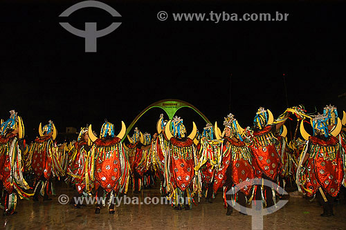  Rio Carnival of 2006 - Imperatriz Leopoldinense School parade - Sambadrome - Rio de Janeiro city - Rio de Janeiro state - Brazil 