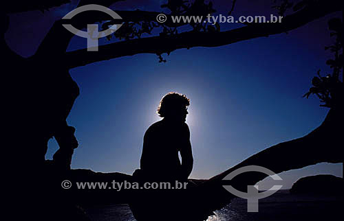  Man`s silhouette sitting over a tree 