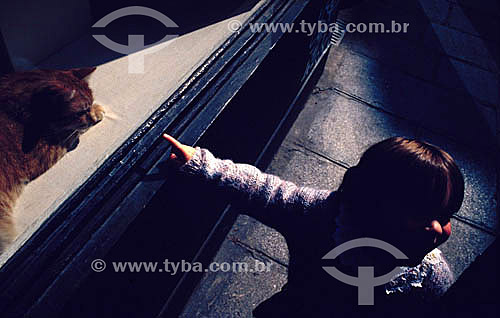  Kid playing with a cat 