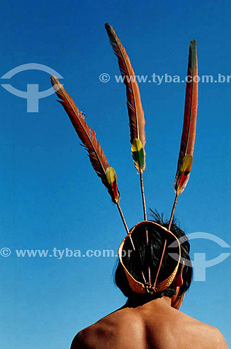  Cockade Indian - Amazon region - Brazil  