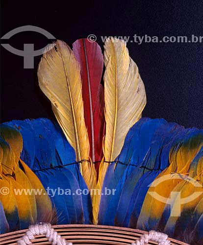 Kaiapo indians plumage art originated from south of Para state - Brazil 