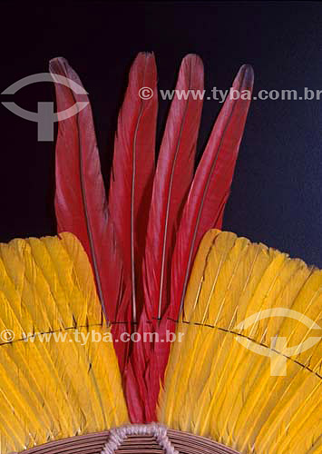  Kaiapo indians plumage art originated from south of Para state - Brazil 