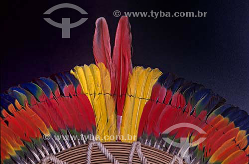  Kaiapo indians plumage art originated from south of Para state - Brazil 