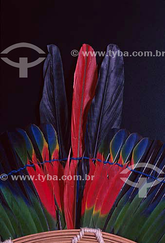  Kaiapo indians plumage art originated from south of Para state - Brazil 