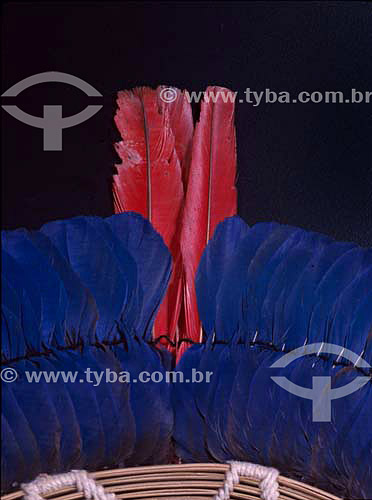  Kaiapo indians plumage art originated from south of Para state - Brazil 