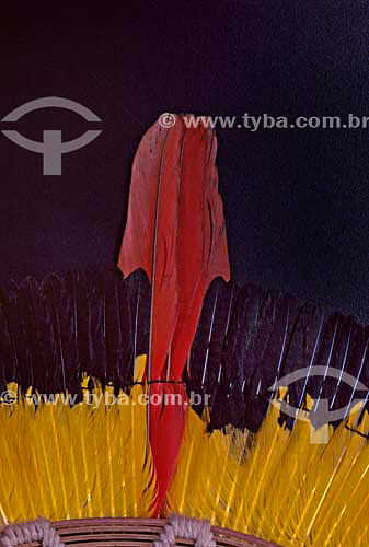 Kaiapo indians plumage art originated from south of Para state - Brazil 