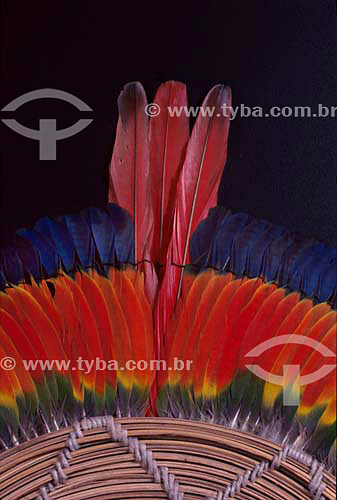  Kaiapo indians plumage art originated from south of Para state - Brazil 