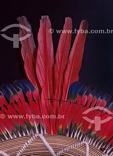  Kaiapo indians plumage art originated from south of Para state - Brazil 