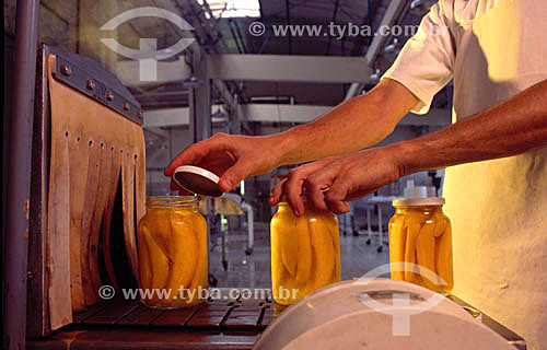  Food Industry 