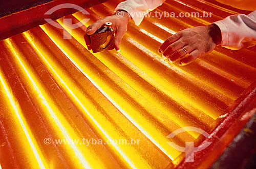  Glue Industry 