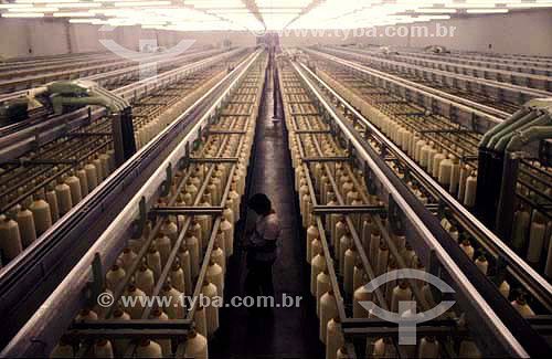  Textile industry - Cataguases city - Minas Gerais state - Brazil 