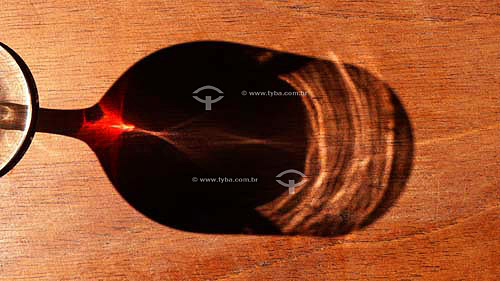  Shadow of Red Wine 