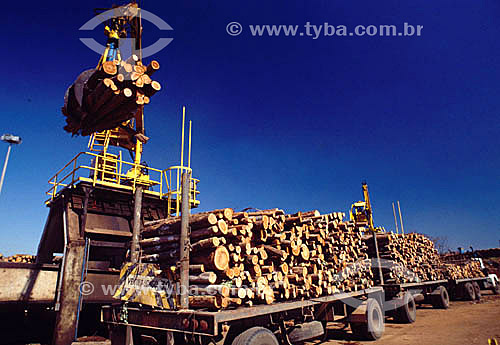  Wood transportation 