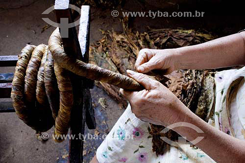  Lady preparing tabacco - 