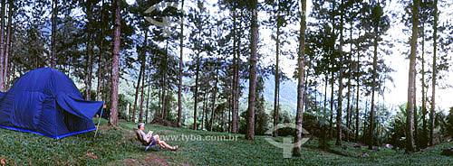  Man camping in a forest of 