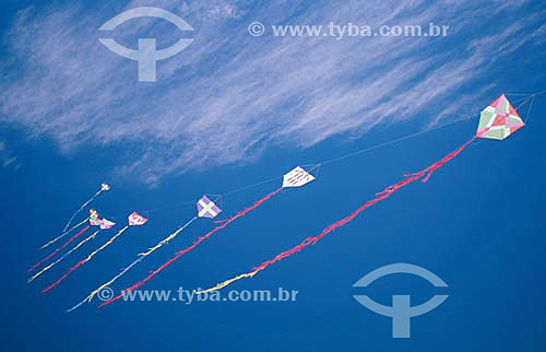  Kites 