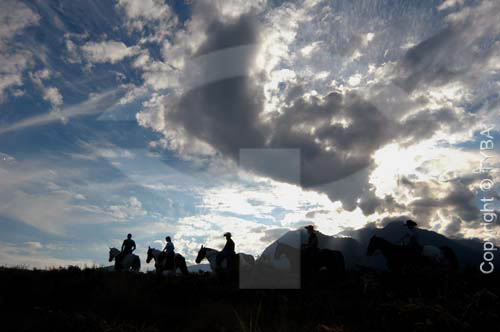  Men by horse 