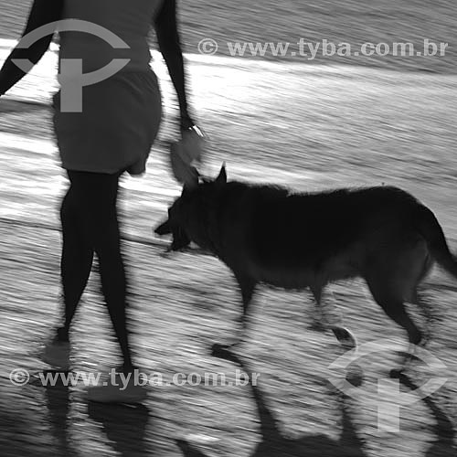  Leisure - woman walking with the dog along the promenade  - Rio de Janeiro city - Rio de Janeiro state - Brazil 