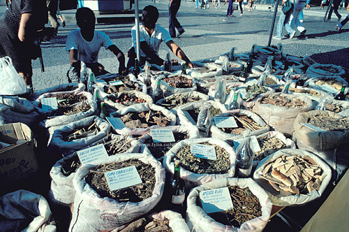  Medicinal herbs for Alternative Medicine - City center of the Rio de Janeiro - Rio de Janeiro state - Brazil - 19-12-1989 