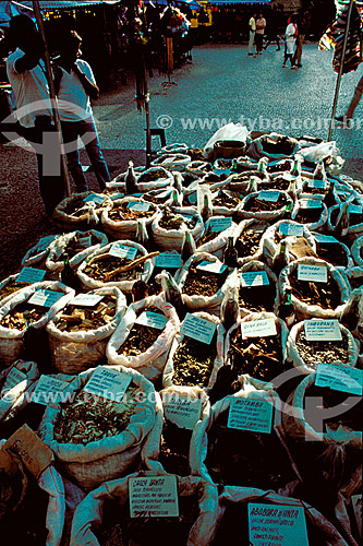  Medicinal herbs for Alternative Medicine - City center of the Rio de Janeiro - Rio de Janeiro state - Brazil - 19-12-1989 