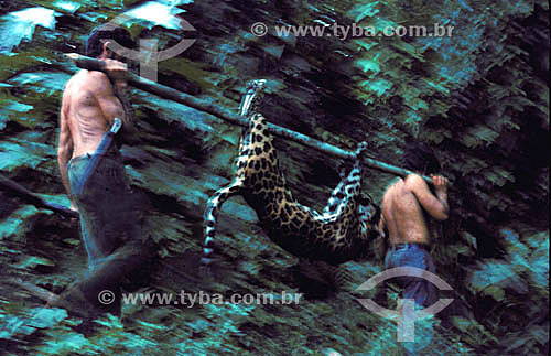  Men carrying dead Jaguar - Amazon Region - Brazil 