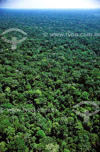  Aerial view of the Amazon Forest - Mato Grosso state - Brazil - october/2003 