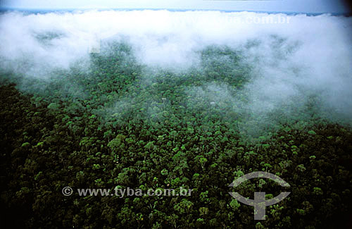  Aerial view of the Amazon Rainforest - Mato Grosso state - Brazil - october/2003 