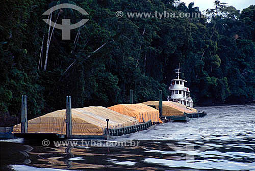  Cargo transport using the rivers instead of opening highways in the forest - 