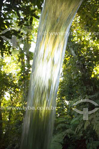  Falling water - Jureia-Itatins Ecological Station - Atlantic Rain Forest - Peruíbe - SP - Brasil 