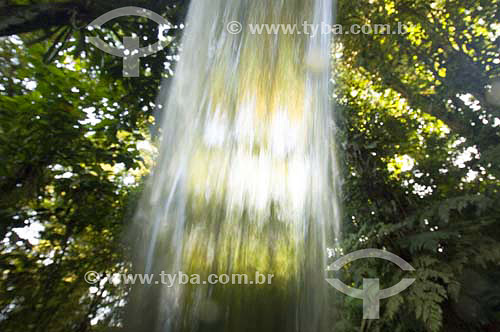 Falling water - Jureia-Itatins Ecological Station - Atlantic Rain Forest - Peruíbe - SP - Brasil 