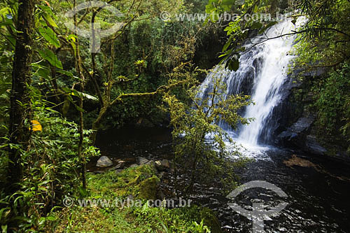  Waterfall at Atlantic Rain Forest - Sea Mountain Range State Park - Cunha region - Sao Paulo state - Brazil - 01/2007 