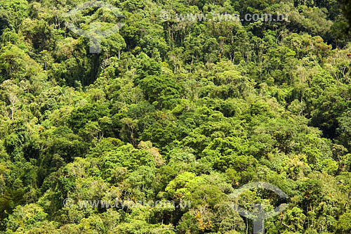  Atlantic Rainforest - Sea Mountain Range State Park - Cunha region - Sao Paulo state - Brazil - 01/2007 