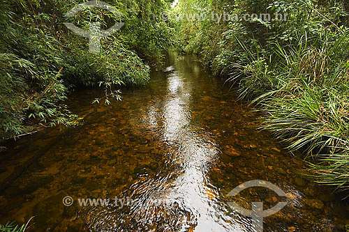 River at Atlantic Rain-forest - Sea Mountain Range State Park - Cunha region - Sao Paulo state - Brazil - 01/2007 