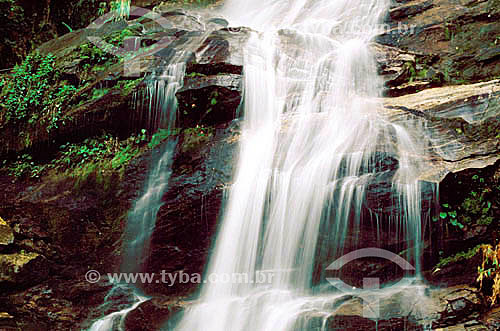  Cascatinha Waterfall - Tijuca Forest -  Rio de Janeiro city - Rio de Janeiro state - Brazil 