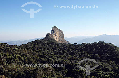  View of the Mantiqueira Mountain Range (border between Rio de Janeiro State and Sao Paulo State) - Brazil 
