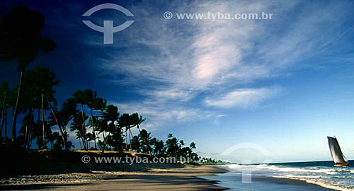  Landscape - beach with a boat at the sea 
